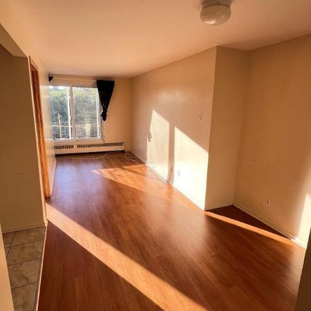 1 CH - 1 SDB - Montréal - $1,250 /mo - Photo 4