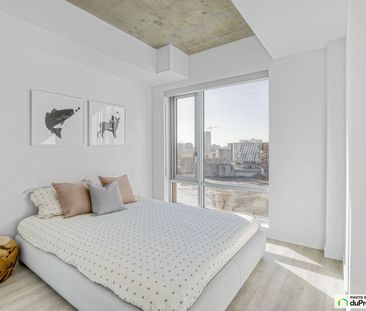 30 rue Jos-Montferrand - Unité 3 ½ - Aalto II, Gatineau (Hull) à louer - Photo 5