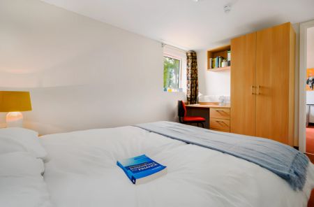 1 Bedroom Student Apartment - Photo 2