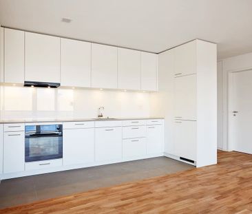 2.5 Zimmer, 47 m², EG - Foto 2