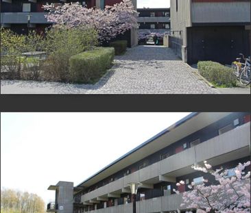 Vildandsvägen, Lund - Foto 1