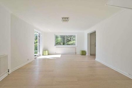 The Downs, Wimbledon Village, SW20 - Photo 3