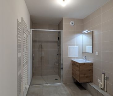Location Appartement 1 pièce 30m² MITTELHAUSBERGEN 67206 - Photo 5