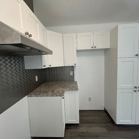 Grand 4 1/2 à louer Vieux Terrebonne - Photo 3