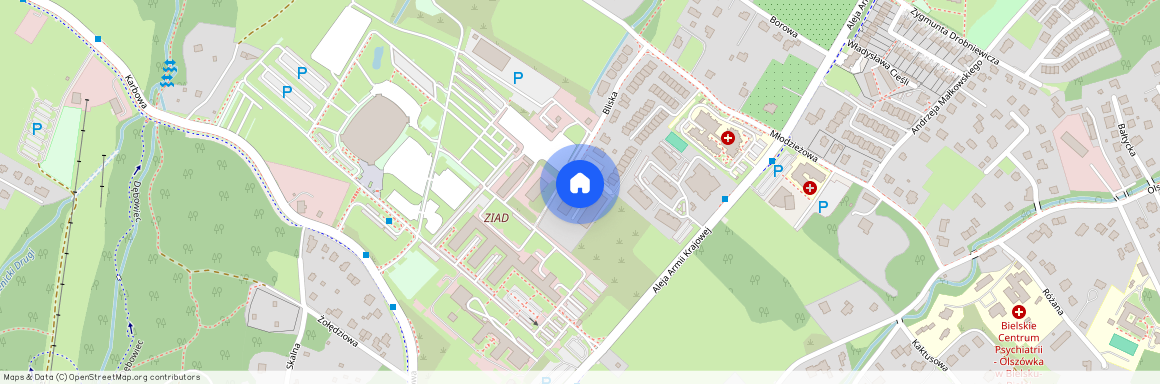 ul. Bliska, Kamienica, Bielsko-Biała, śląskie