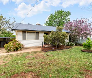14 Condon Avenue, Mount Austin NSW 2650 - Photo 4