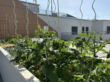 Aufblühen in Reininghaus - Foto 3