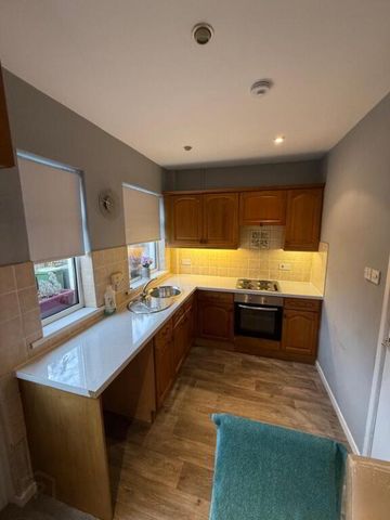 11 Garvey Terrace, Lisburn, BT27 4TW - Photo 3