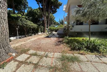 Villa singola in affitto