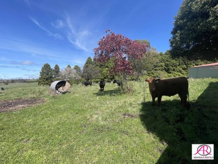 The Homestead "Box Hill"Out of Town - Large Family Home - Photo 2