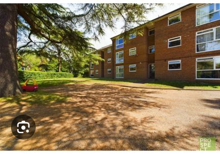 Room in a Shared Flat, Southcoute Road, RG30 - Photo 5