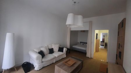 Location Appartement 1 pièce Meublé 46m² LYON 6ème - Photo 4