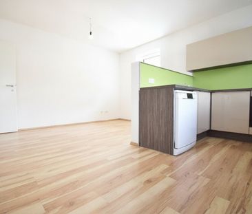 3-Zimmer Wohnung mit Gartenbenutzung zu vermieten - Photo 3