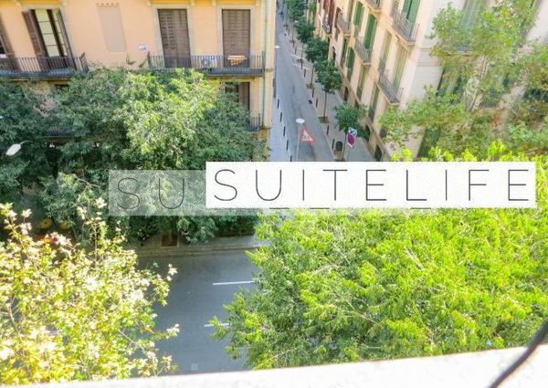 Monsieur Van Damme Lives Upstairs