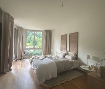 Top modern apartment on the Sihl - Photo 6