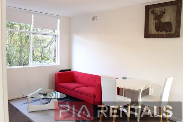 4/166 Raglan St MOSMAN - Photo 1