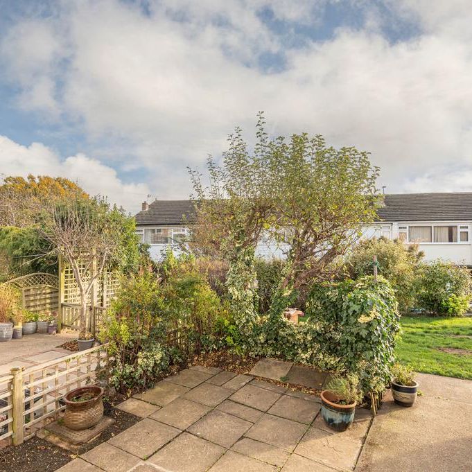 3 bedroom terraced house to rent - Photo 1