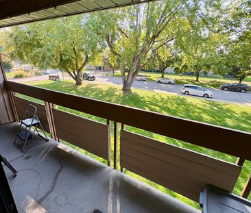 Bright & Spacious Upper Unit - Photo 6