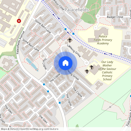 Lapwing Grove, Palacefields, Runcorn, WA7 2TH