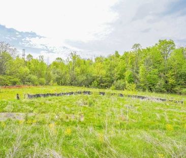 For Lease - 1040 Foxtail Crescent Unit# Bsmt, Pickering, Ontario - Photo 3