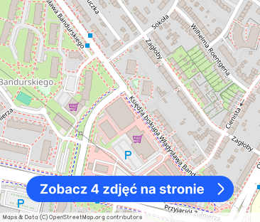 Pokój z malowniczym widokiem tuż przy parku, ul. Slowackiego - Zdjęcie 1