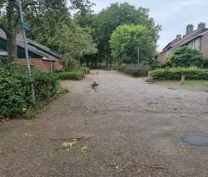 Appartement en étage Munster 22, Grootebroek - À louer - Foto 2