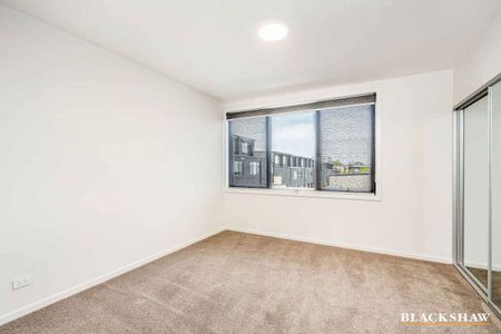 Terrific in Taylor - Photo 5