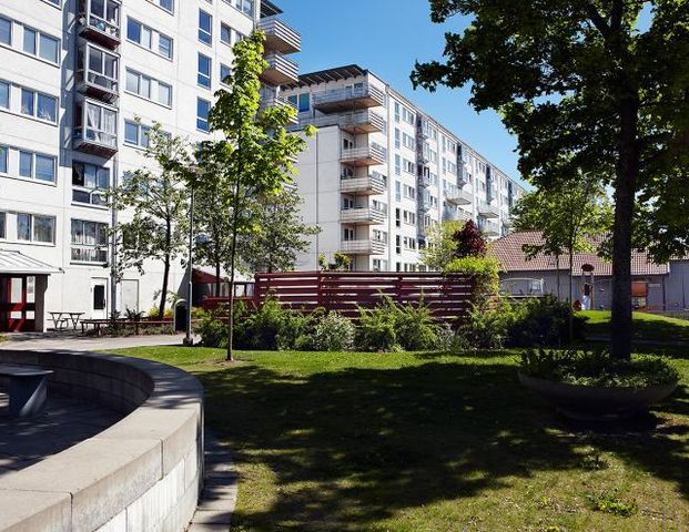 Muskotgatan 11 . - Foto 1