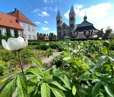 Hyggelig 2 værelses lejlighed til leje nu i Viborg midtby - Photo 3