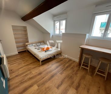 Location Appartement 1 pièce 17m² GRENOBLE 38000 - Photo 3