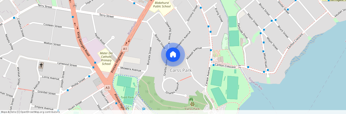 4 Gnarbo Avenue, Carss Park