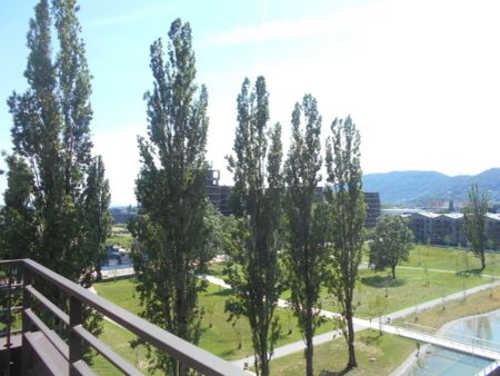 Q5 am PARK großartige 2ZI mit Süd/Balkon PARKBLICK - Photo 4