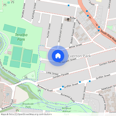 91 Mcilwraith Street, Qld 4053, Everton Park