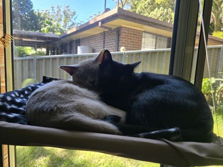 Helensburgh - Photo 3