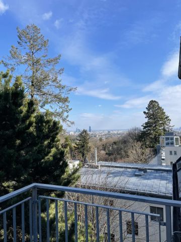 PENTHOUSE LIVING - ATEMBERAUBENDER WIENBLICK - DREI RIESEN TERRASSEN - ERSTBEZUG!! - Foto 5