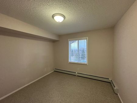 Stunning 2 Bed, 2 Bath Condo in Lancaster - 4th Floor In-Suite Laundry - Photo 5