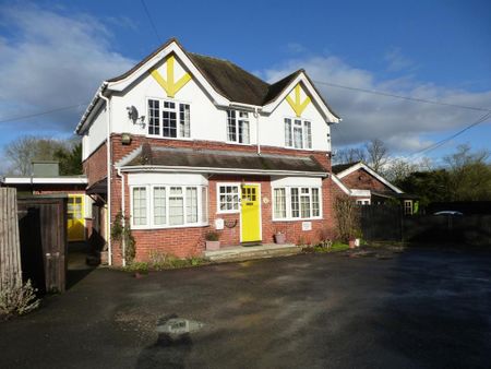 Studio to rent - Photo 5