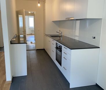 Recently renovated 3.5-room apartment, including a laundry tower, i... - Photo 5