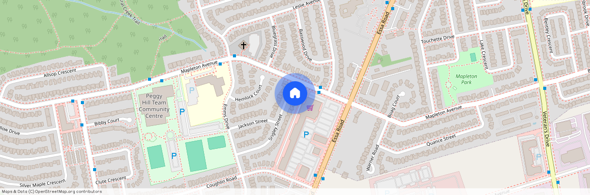 13 Srigley Street Unit# Entire House, Barrie