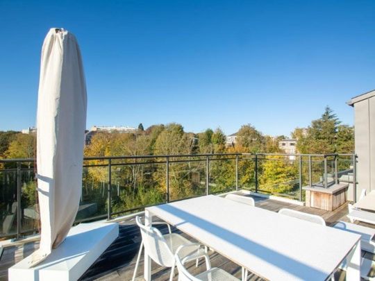 IXELLES : APPARTEMENT MEUBLE 2 CHAMBRES + TERRASSE - Bruxelles 1 - Foto 1