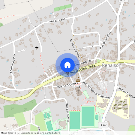 Renaison, 142 ter Rue Stephane Bertaud, 42370