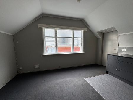 Spacious 4-Bedroom + Study Home in Mount Victoria - Photo 4
