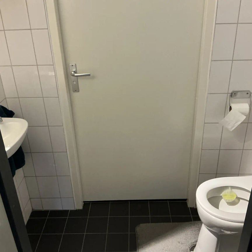 Maison familiale Kattedoorn 26, Kampen - À louer - Foto 1