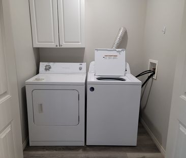 Pet Friendly Basement Suite in Springbrook! - Photo 3