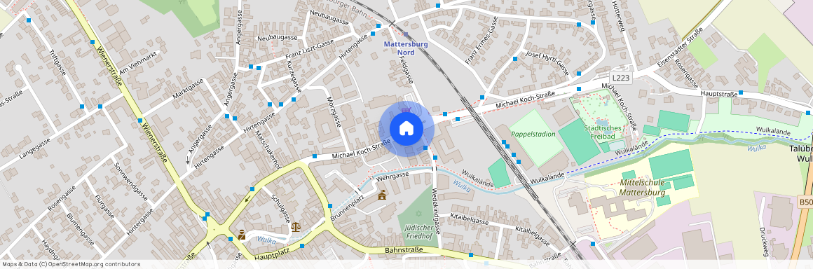 Michael Koch-Straße 40/20, 7210, Mattersburg