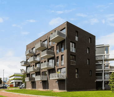 Rentambt 62 - Foto 5