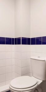 Medium Standard Single Ensuite: Three Bed Flat - Photo 4