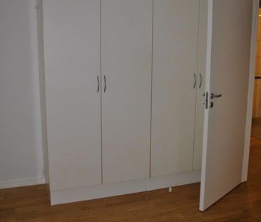 Gravene - Photo 5