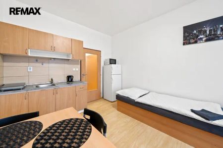 Pronájem bytu 1+kk, 26 m - Fotografie 5