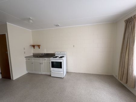 Central Spacious One-bedroom unit - Victoria - Photo 4